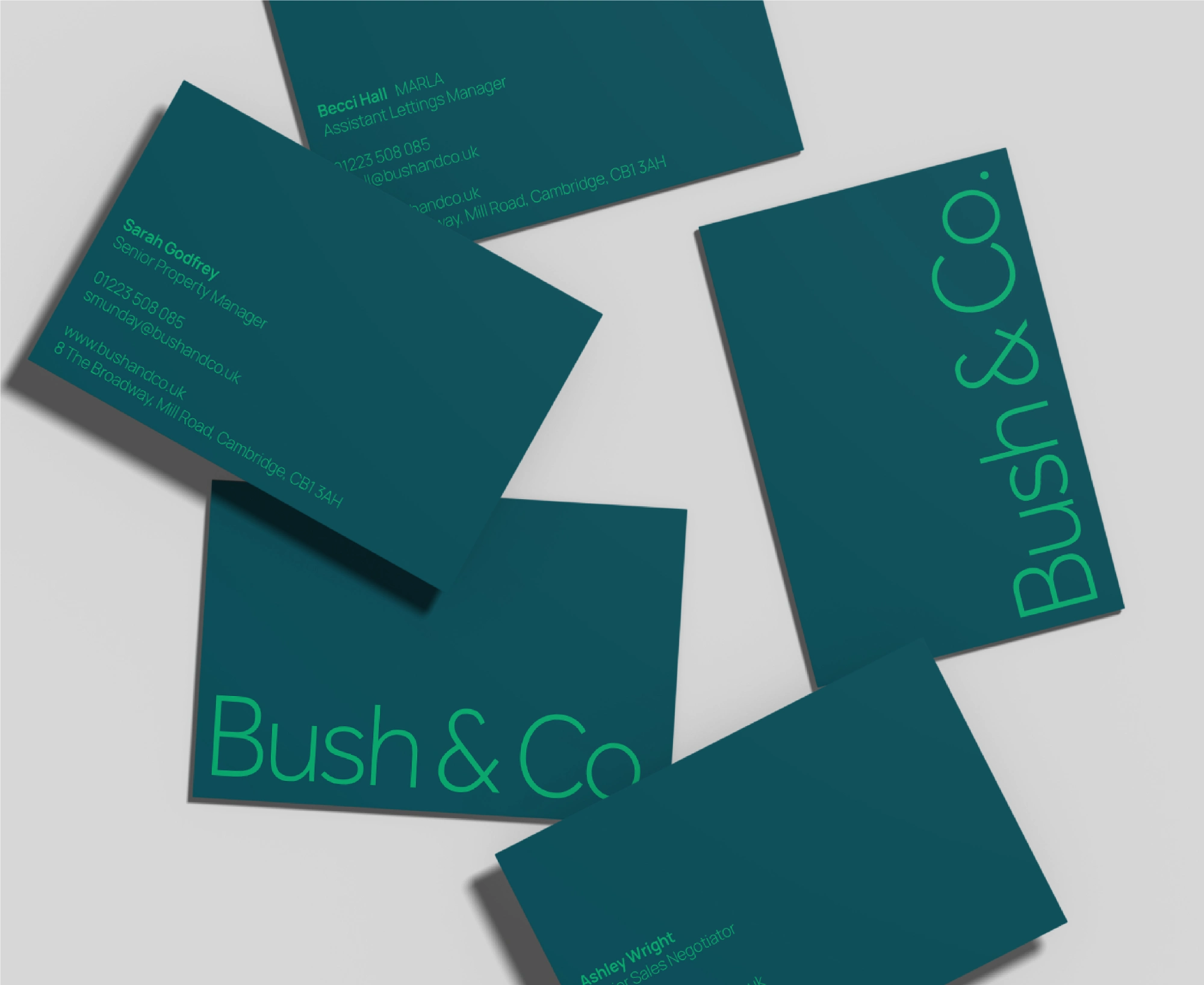 Sanders and Jay Design and Marketing Agency Cambridge Bush & Co 2